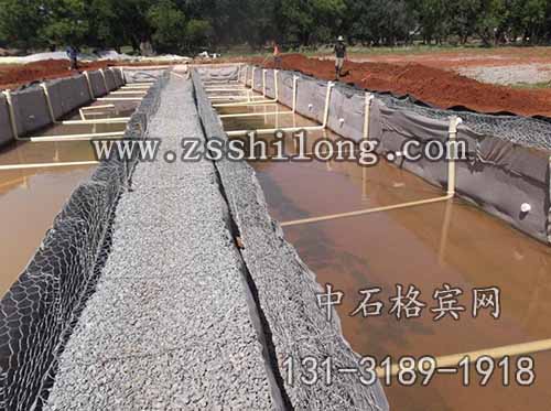 zsshilong14.jpg zsshilong14.jpg