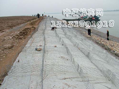 zsshilong70.jpg zsshilong70.jpg