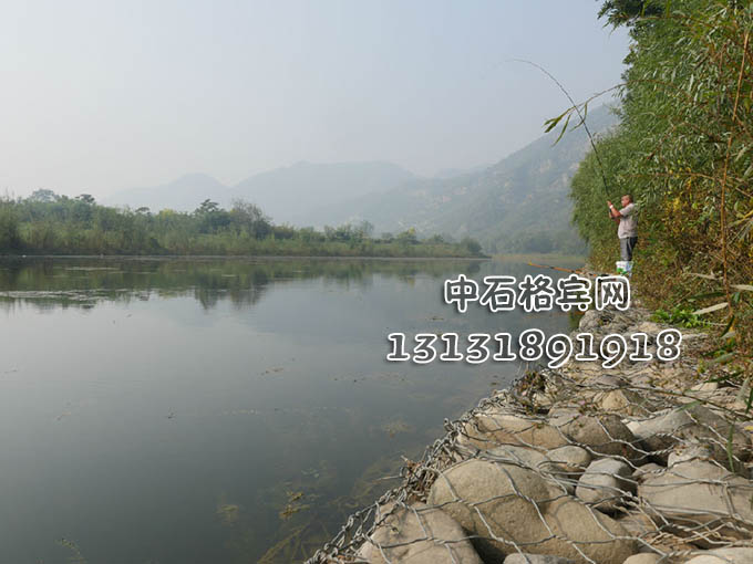 13131891918護岸賓格網(wǎng)廠家