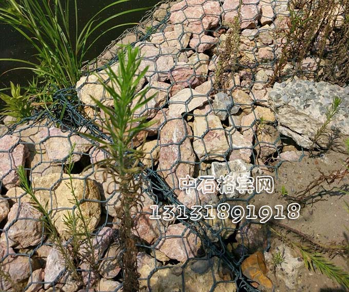 河道護(hù)岸固濱籠價(jià)格咨詢(xún)13131891918