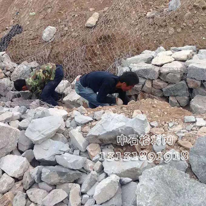 賓格網13131891918