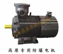 高原防爆鼓風(fēng)機